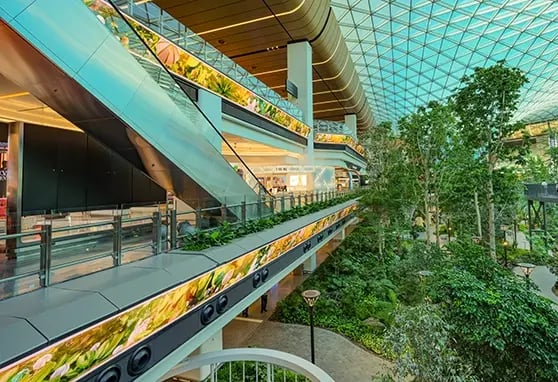 A 1.2-kilometer digital ribbon elevates a natural indoor oasis to create an immersive passenger experience.