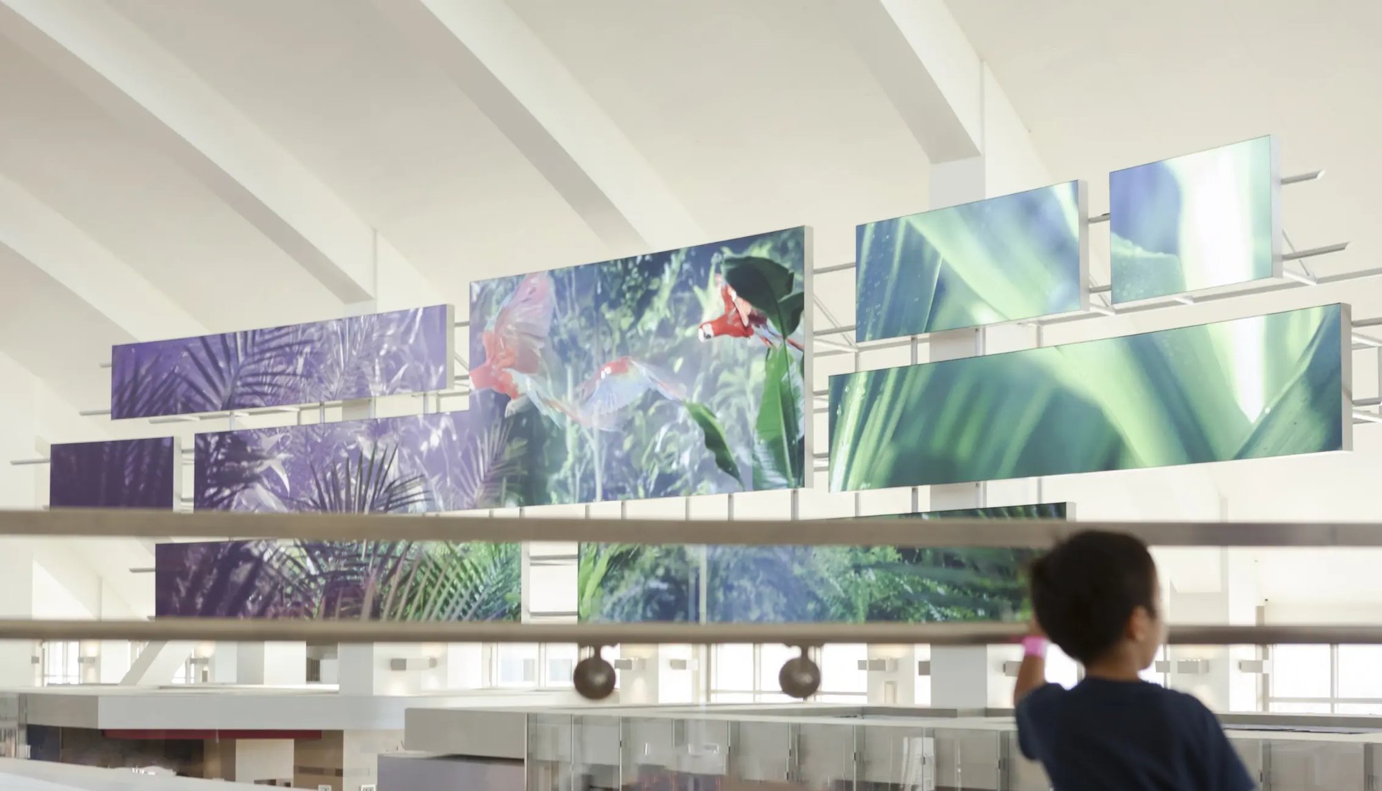 A boy looking out at a large LED video wall.