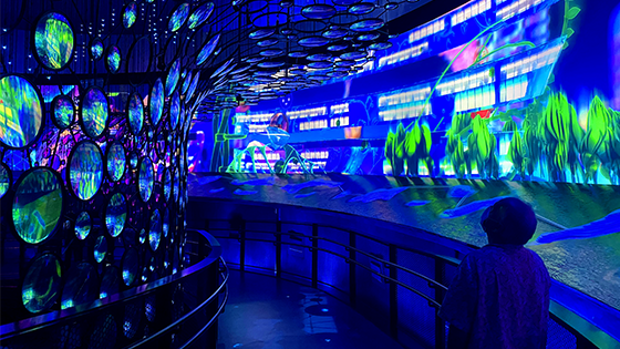 Visitors to EXPO 2020 walking through the Mobility Pavilion.