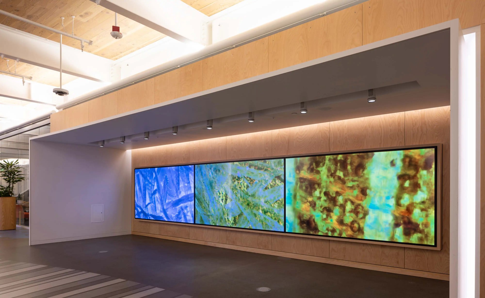 Casey Reas Earthly Delights #45 LED screens on the wall
