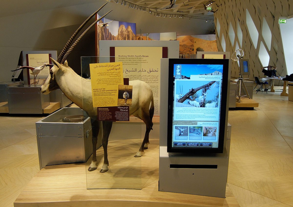 Interactive displays enable museums to continually update information as well as embrace customization depending on the audience. 