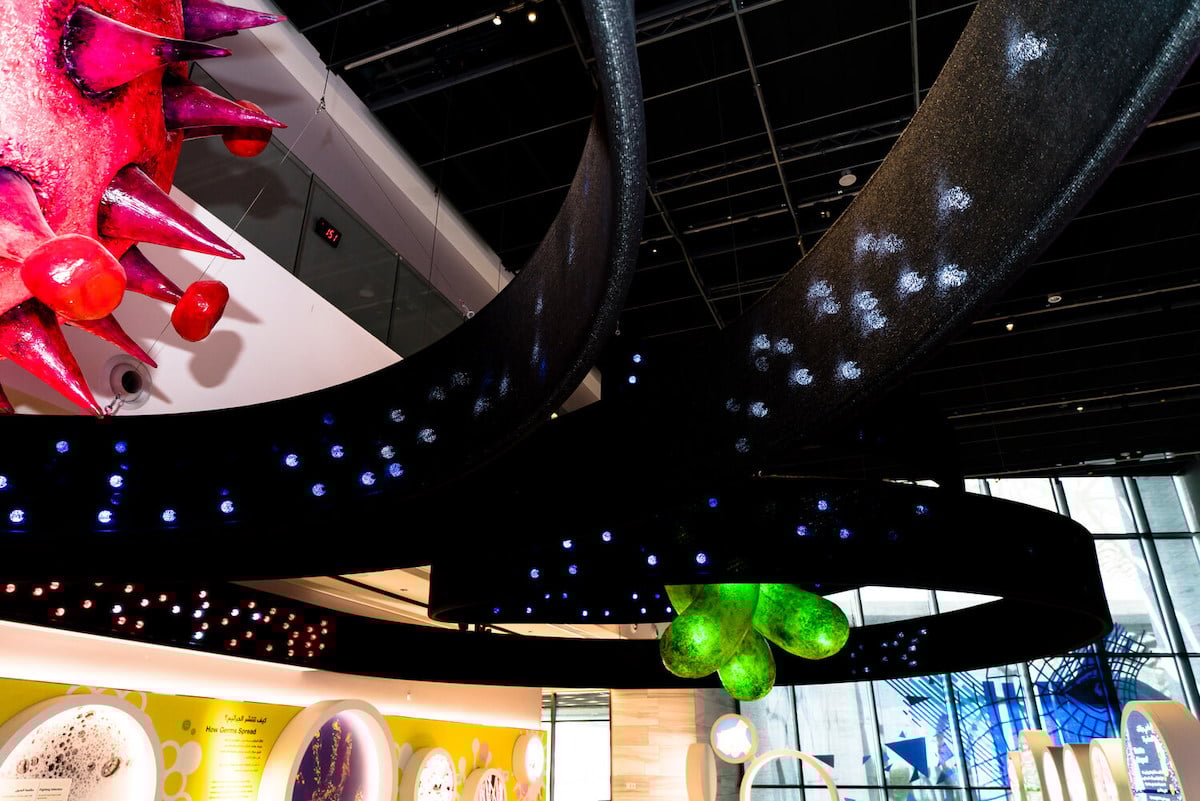 Electrosonic played a key role in helping SAASCC deliver an immersive museum experience. 