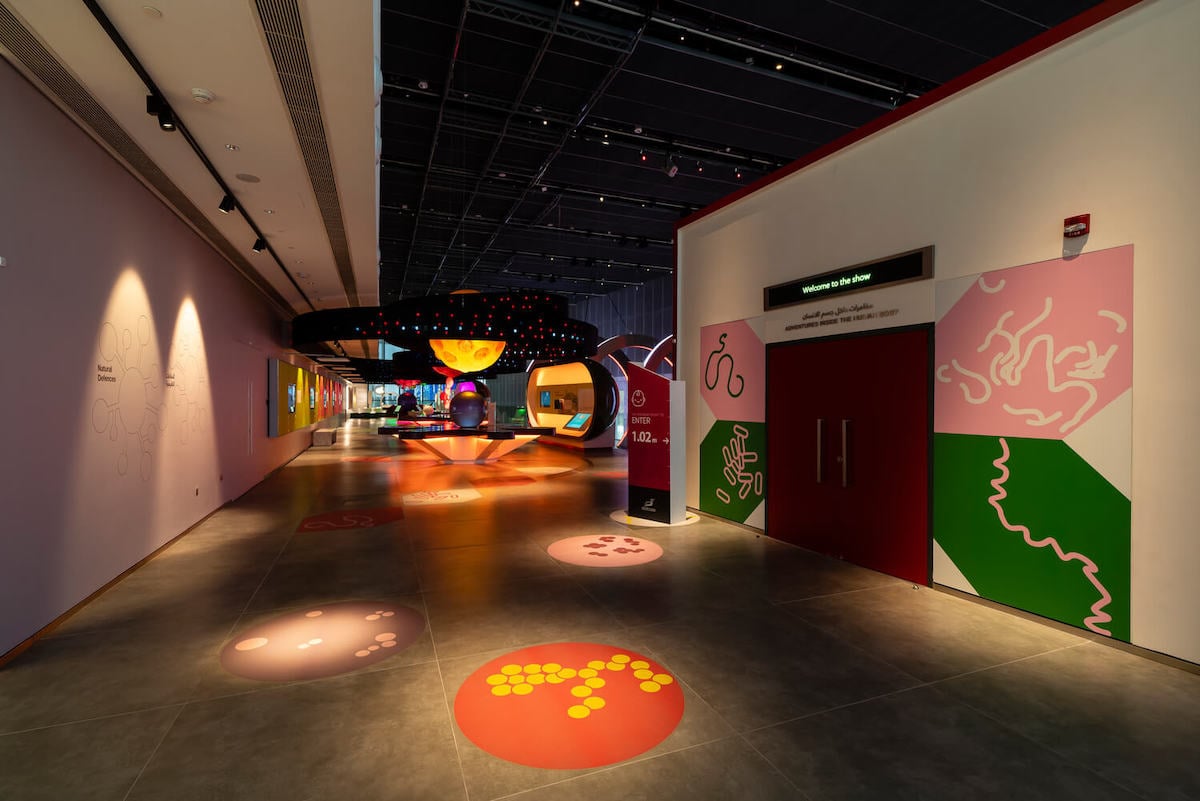 Electrosonic played a key role in helping SAASCC deliver an immersive museum experience. 