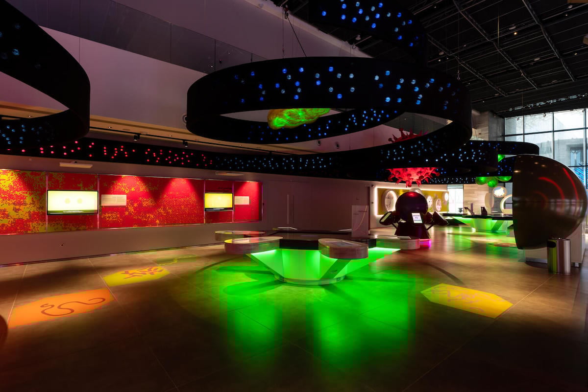 Electrosonic played a key role in helping SAASCC deliver an immersive museum experience. 