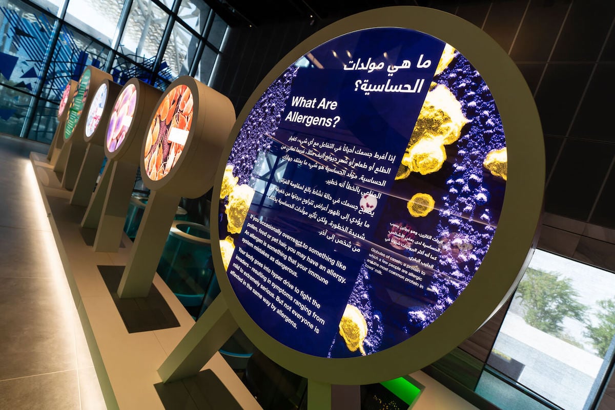 Electrosonic played a key role in helping SAASCC deliver an immersive museum experience. 