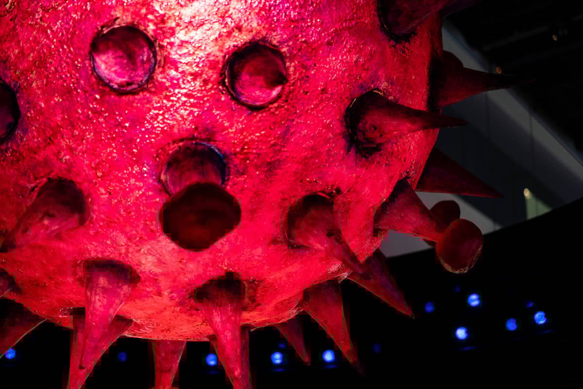 Electrosonic played a key role in helping SAASCC deliver an immersive museum experience. 