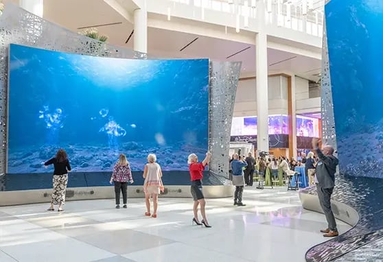 Experiential video wall technology transforms an airport terminal into an immersive passenger experience.