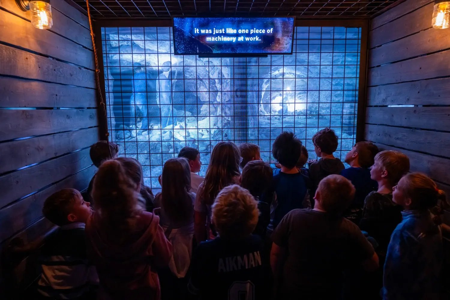 Kids in a mineshaft elevator