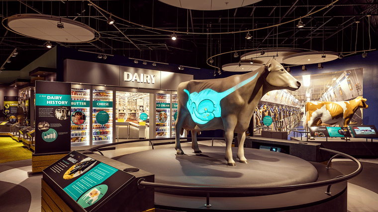 Projection-mapped cow at the Farm Wisconsin Discovery Center displaying animated visuals on a life-sized model to illustrate dairy farming processes and cow anatomy.