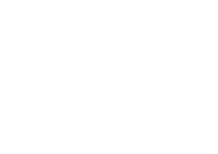 RealMotion