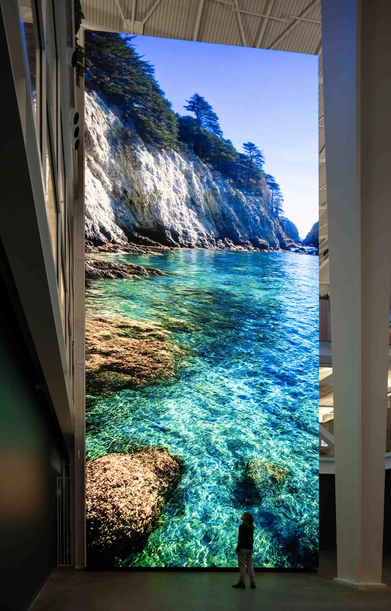 Refik Anadol Machine Dreams Biophilia LED wall displaying ocean media