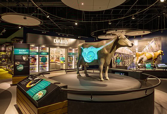 The centerpiece of the Farm Wisconsin Discovery Center is a model of a cow showing a projected image of its digestive system.