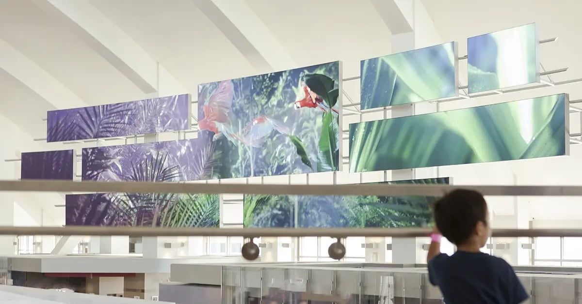 Travelers pass through the Tom Bradley International Terminal at LAX, where large LED walls combine real-time information with entertainment content.