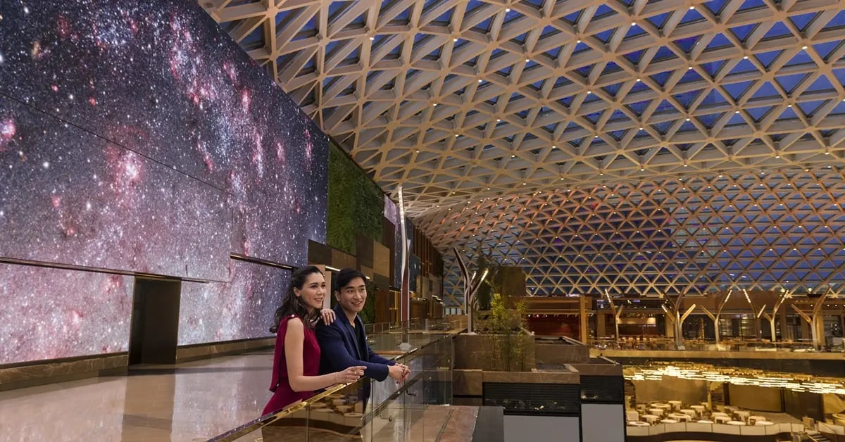 Two visitors stand in front of a vibrant, high-resolution LED video wall inside the MGM COTAI resort, which displays dynamic visuals in a luxurious hospitality setting.